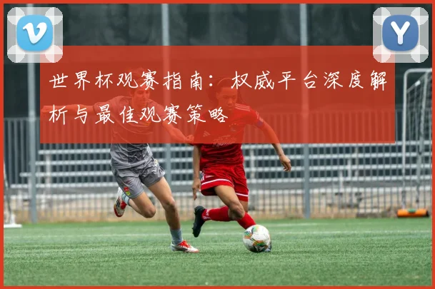 世界杯观赛指南：权威平台深度解析与最佳观赛策略
