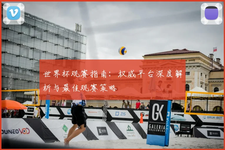 世界杯观赛指南：权威平台深度解析与最佳观赛策略